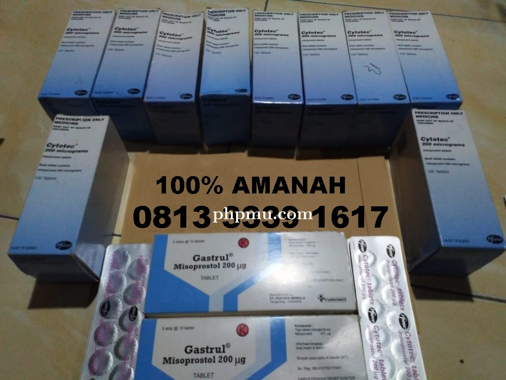 0813/3339/1617 Obat Aborsi Magelang Penggugur Kandungan Cepat Tuntas Dan Bersih